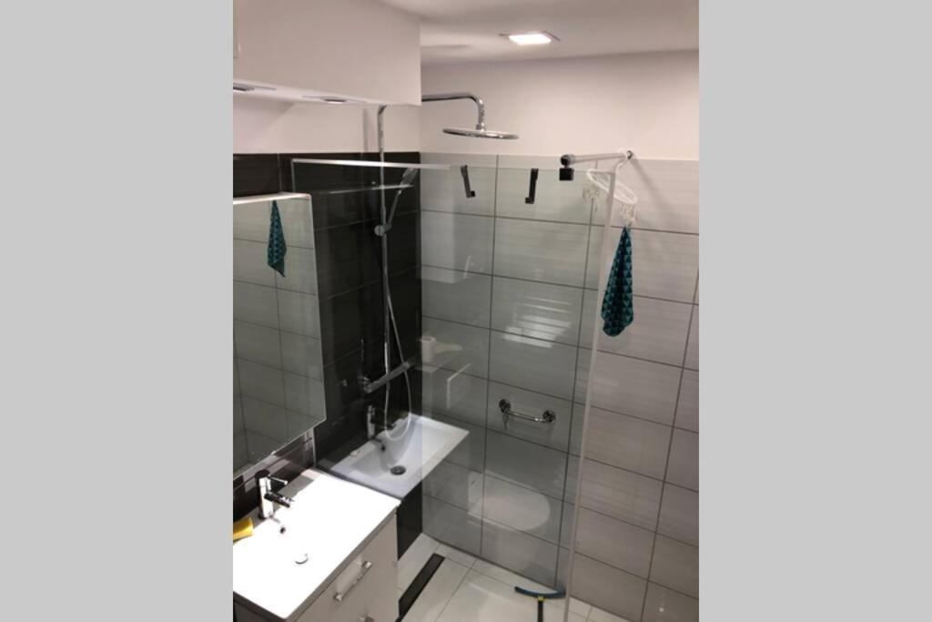 גליביצ'ה Apartament Sikornik מראה חיצוני תמונה